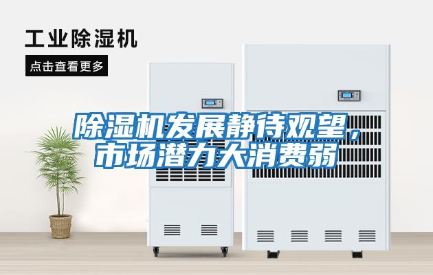 除濕機發(fā)展靜待觀(guān)望，市場(chǎng)潛力大消費弱