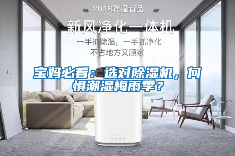 寶媽必看：選對除濕機，何懼潮濕梅雨季？