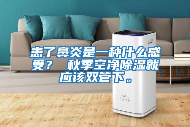 患了鼻炎是一種什么感受？ 秋季空凈除濕就應該雙管下。