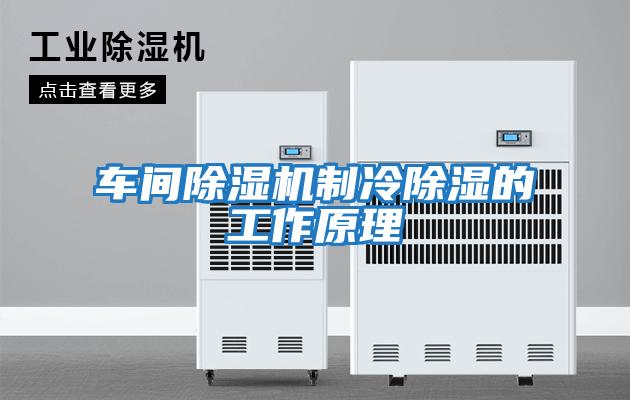 車(chē)間除濕機制冷除濕的工作原理