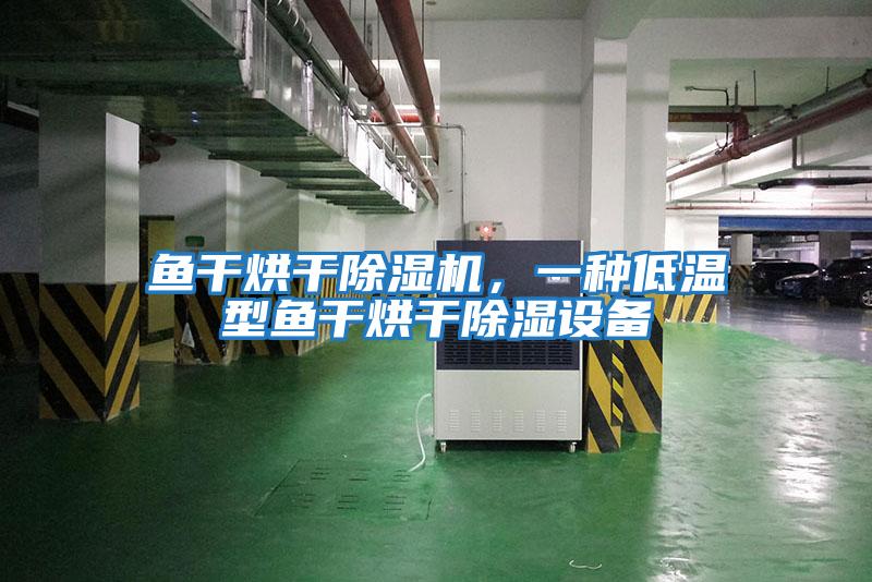 魚(yú)干烘干除濕機，一種低溫型魚(yú)干烘干除濕設備