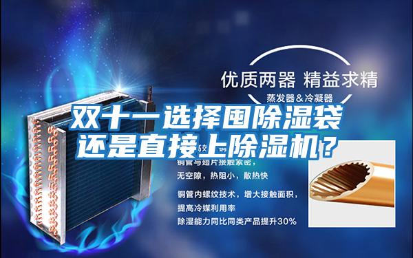 雙十一選擇囤除濕袋還是直接上除濕機？