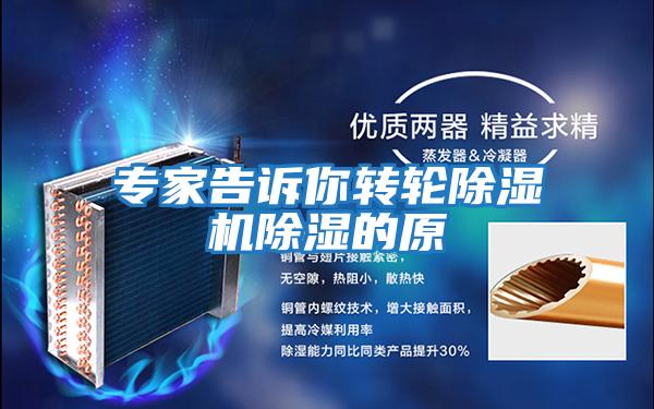 專(zhuān)家告訴你轉輪除濕機除濕的原