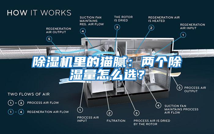 除濕機里的貓膩：兩個(gè)除濕量怎么選？