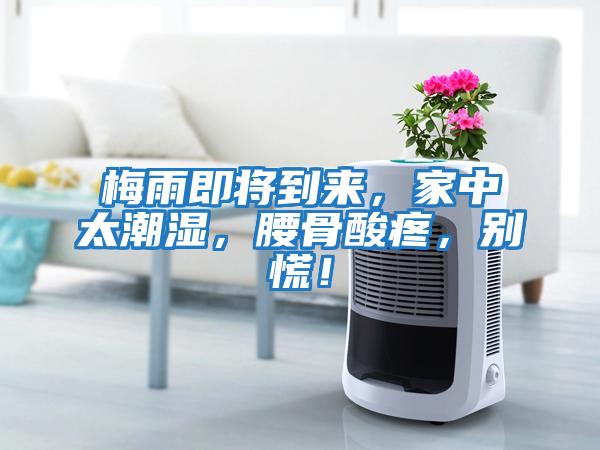 梅雨即將到來(lái)，家中太潮濕，腰骨酸疼，別慌！