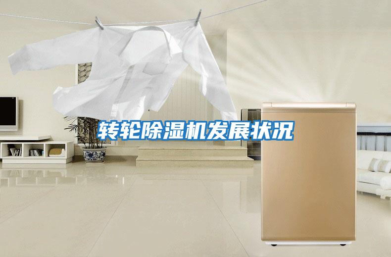 轉輪除濕機發(fā)展狀況