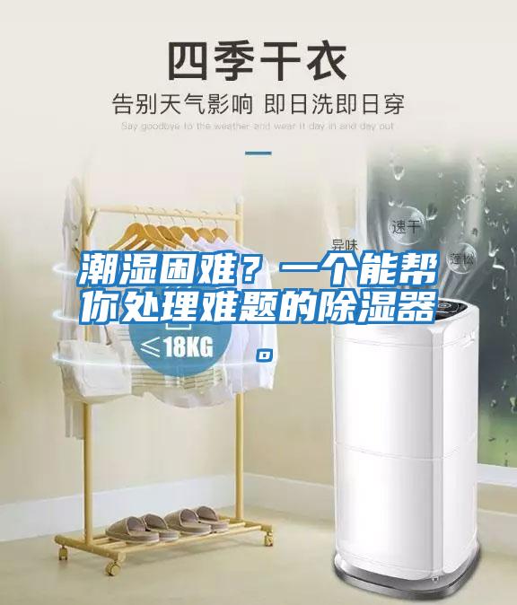 潮濕困難？一個(gè)能幫你處理難題的除濕器。