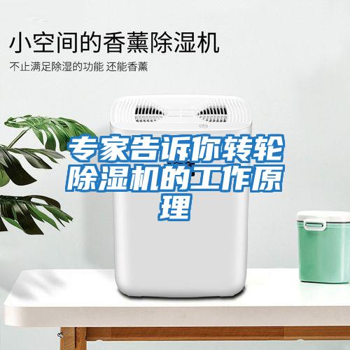 專(zhuān)家告訴你轉輪除濕機的工作原理