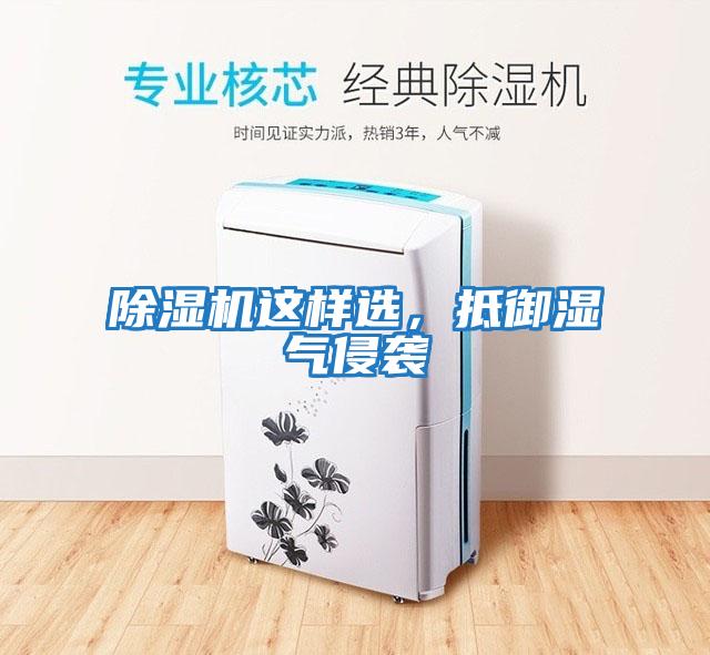 除濕機這樣選，抵御濕氣侵襲