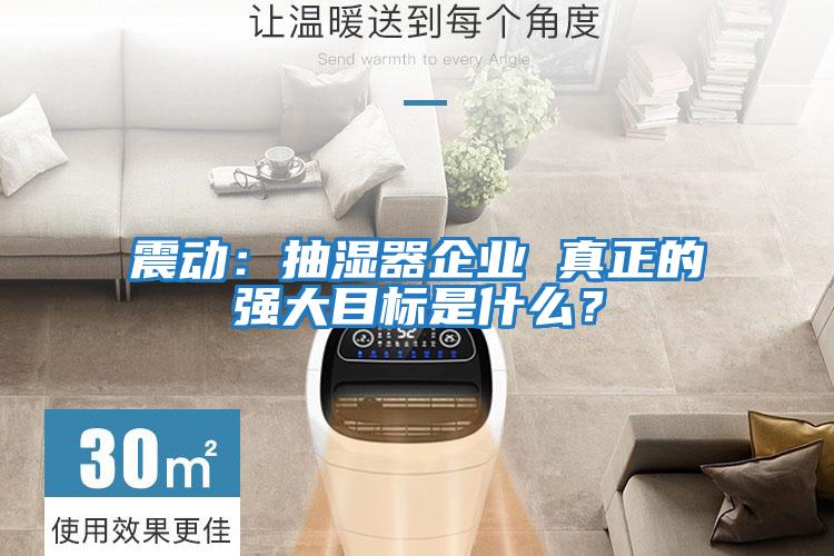 震動(dòng)：抽濕器企業(yè) 真正的強大目標是什么？