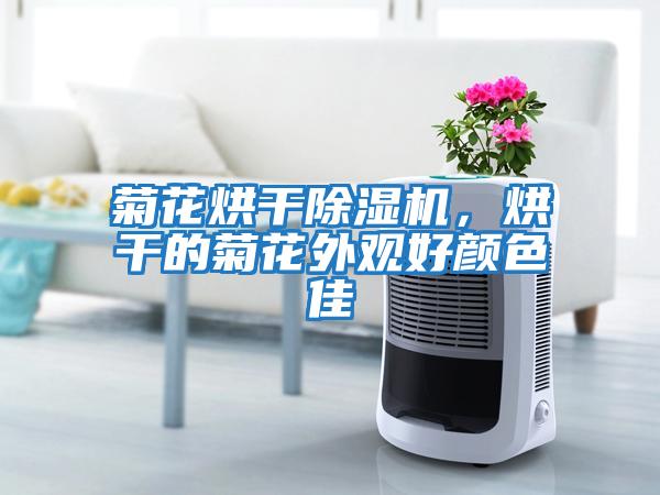 菊花烘干除濕機，烘干的菊花外觀(guān)好顏色佳