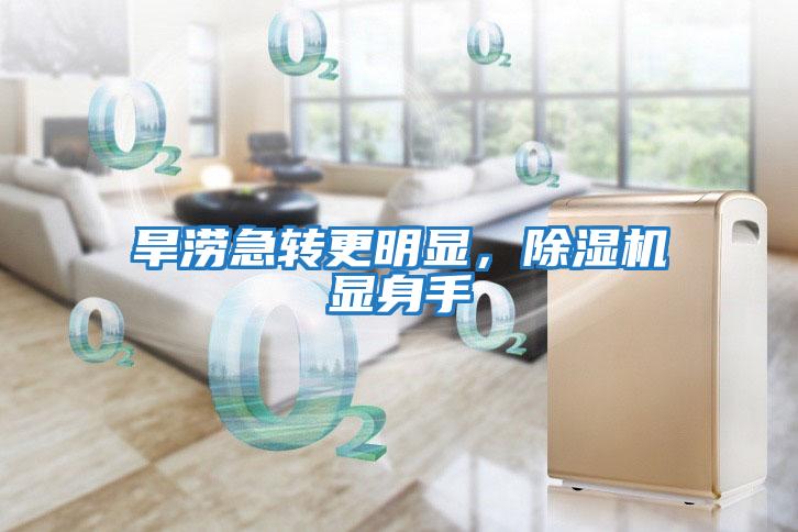 旱澇急轉更明顯，除濕機顯身手