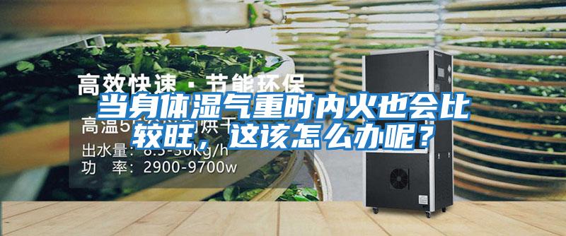 當身體濕氣重時(shí)內火也會(huì )比較旺，這該怎么辦呢？