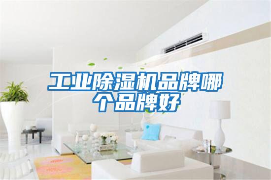 工業(yè)除濕機品牌哪個(gè)品牌好