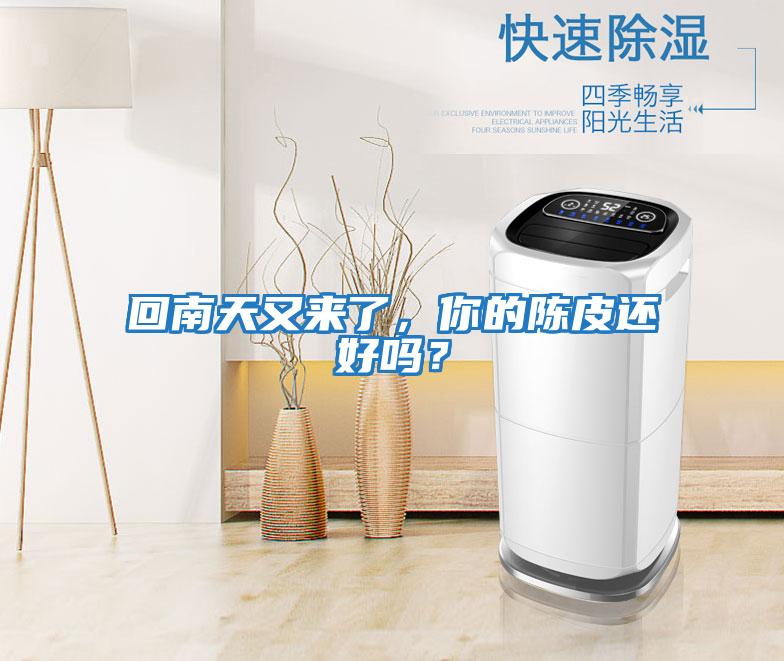 回南天又來(lái)了，你的陳皮還好嗎？