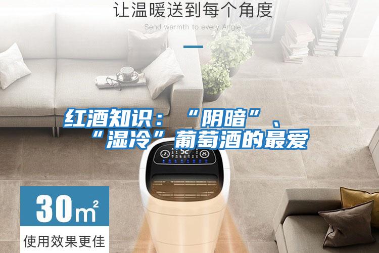 紅酒知識：“陰暗”、“濕冷”葡萄酒的最?lèi)?ài)