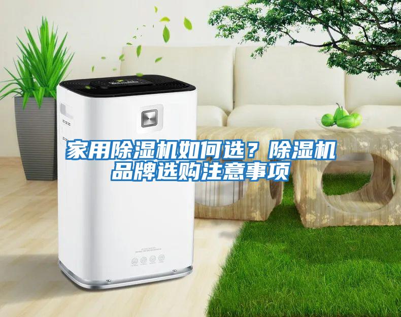 家用除濕機如何選？除濕機品牌選購注意事項