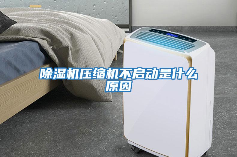 除濕機壓縮機不啟動(dòng)是什么原因