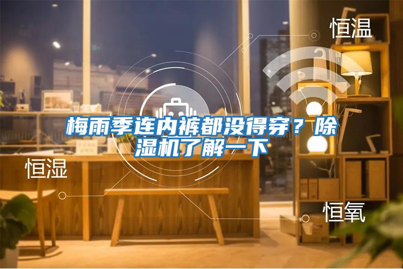梅雨季連內褲都沒(méi)得穿？除濕機了解一下