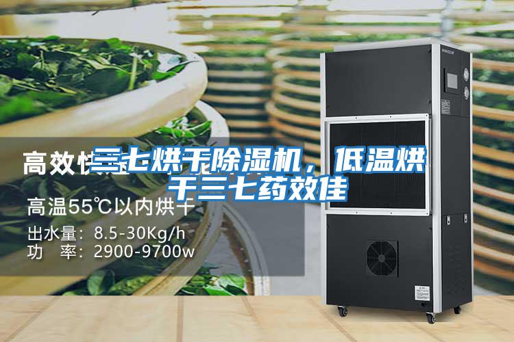 三七烘干除濕機，低溫烘干三七藥效佳