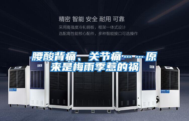 腰酸背痛、關(guān)節痛……原來(lái)是梅雨季惹的禍