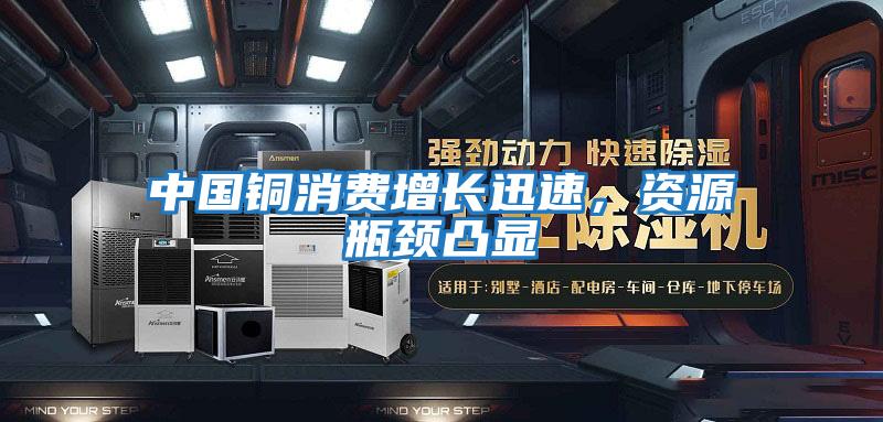 中國銅消費增長(cháng)迅速，資源瓶頸凸顯