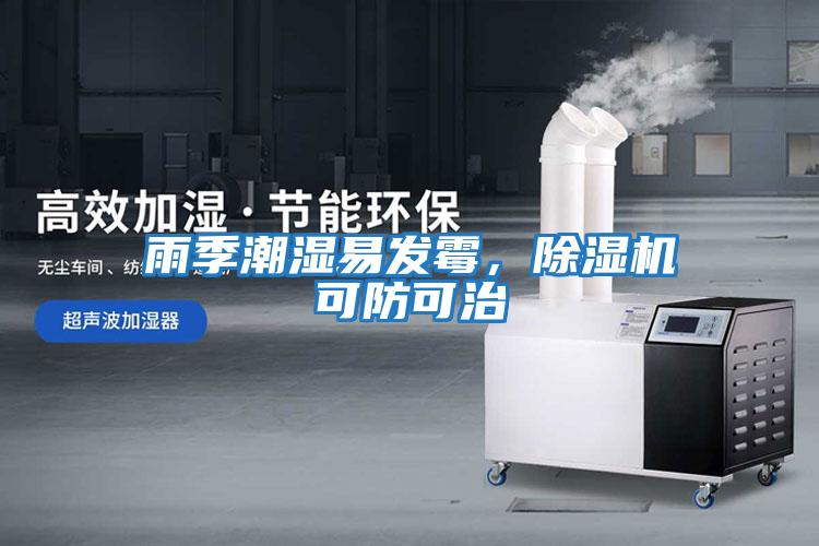 雨季潮濕易發(fā)霉，除濕機可防可治