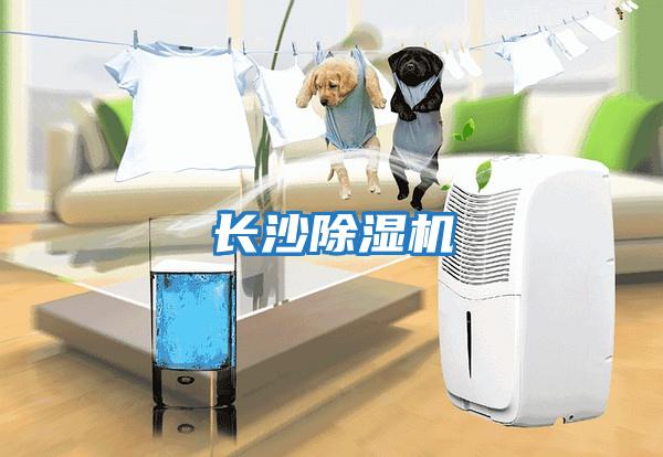 長(cháng)沙除濕機