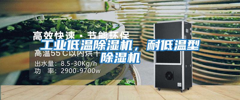 工業(yè)低溫除濕機，耐低溫型除濕機