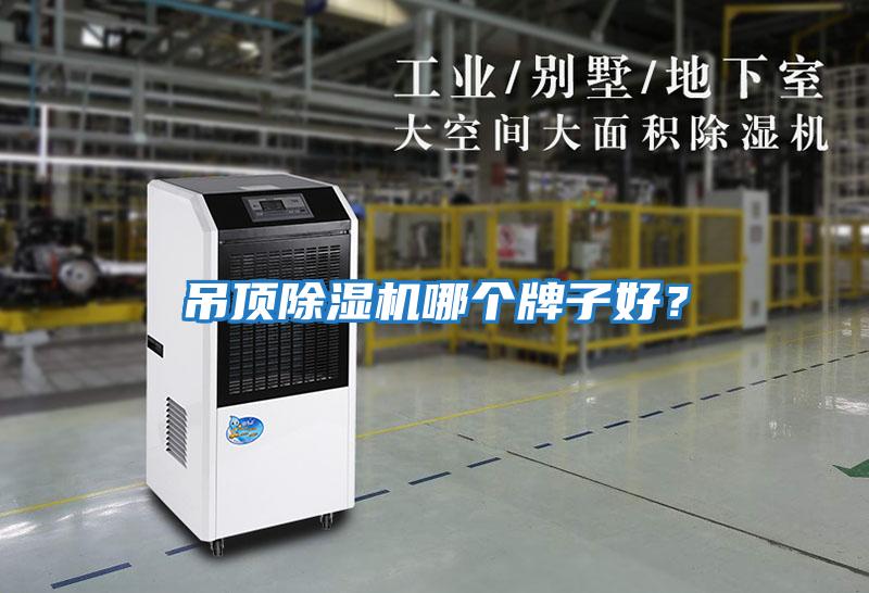 吊頂除濕機哪個(gè)牌子好？