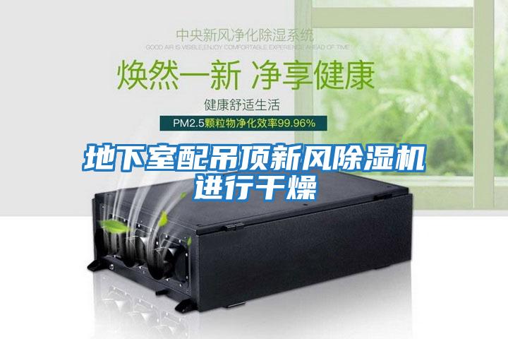 地下室配吊頂新風(fēng)除濕機進(jìn)行干燥