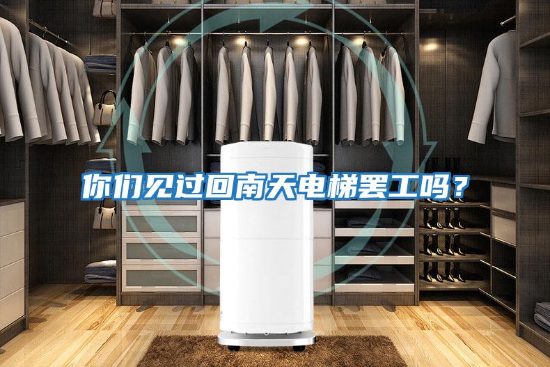 你們見(jiàn)過(guò)回南天電梯罷工嗎？