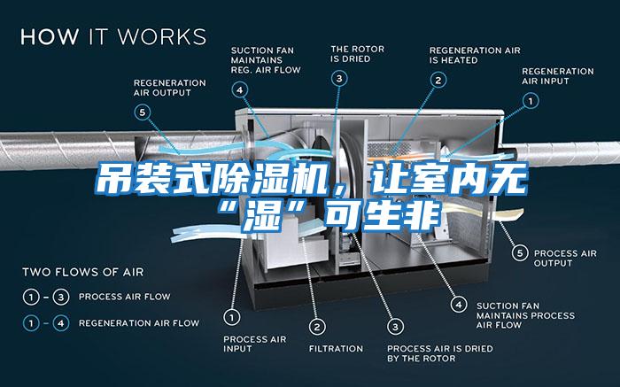 吊裝式除濕機，讓室內無(wú)“濕”可生非