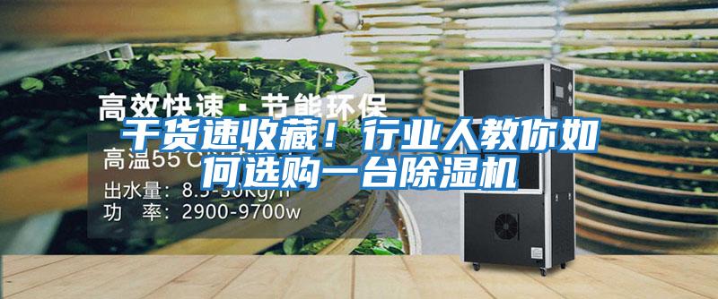 干貨速收藏！行業(yè)人教你如何選購一臺除濕機