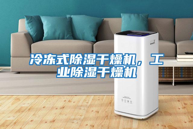 冷凍式除濕干燥機，工業(yè)除濕干燥機