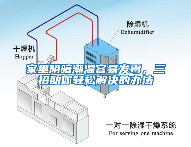 家里陰暗潮濕容易發(fā)霉，三招助你輕松解決的辦法