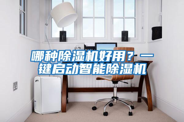 哪種除濕機好用？一鍵啟動(dòng)智能除濕機