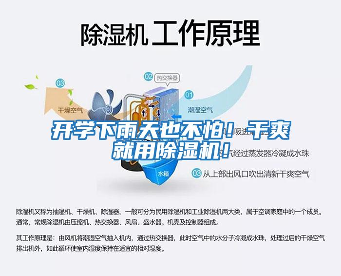 開(kāi)學(xué)下雨天也不怕！干爽就用除濕機！