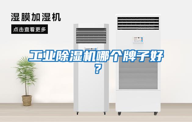 工業(yè)除濕機哪個(gè)牌子好？
