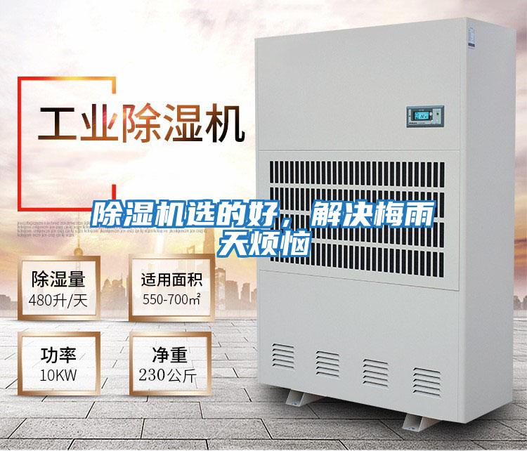 除濕機選的好，解決梅雨天煩惱