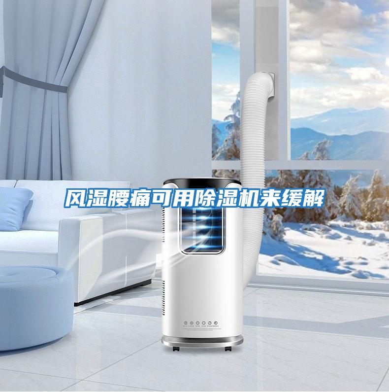 風(fēng)濕腰痛可用除濕機來(lái)緩解