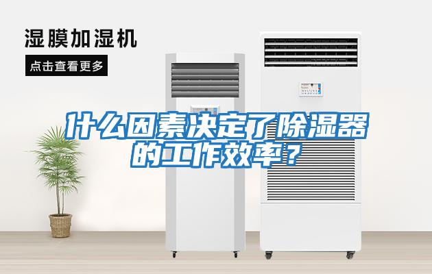 什么因素決定了除濕器的工作效率？