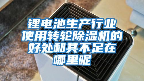 鋰電池生產(chǎn)行業(yè)使用轉輪除濕機的好處和其不足在哪里呢