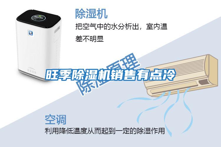 旺季除濕機銷(xiāo)售有點(diǎn)冷