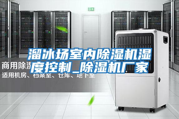 溜冰場(chǎng)室內除濕機濕度控制_除濕機廠(chǎng)家
