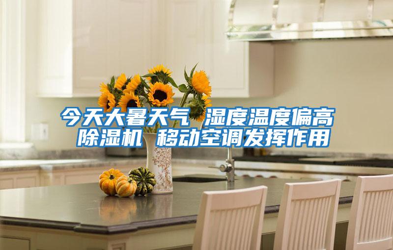 今天大暑天氣 濕度溫度偏高 除濕機 移動(dòng)空調發(fā)揮作用