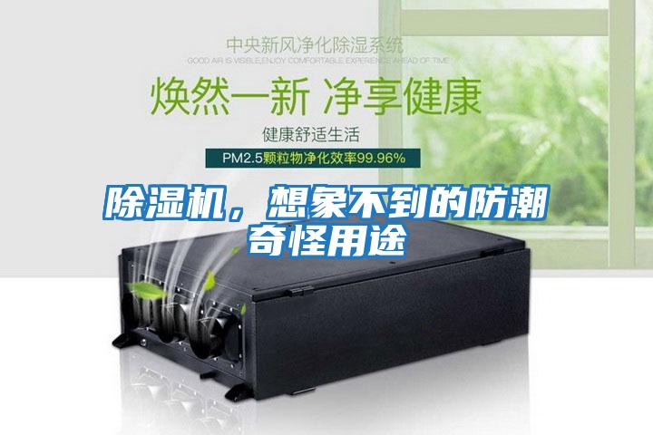 除濕機，想象不到的防潮奇怪用途