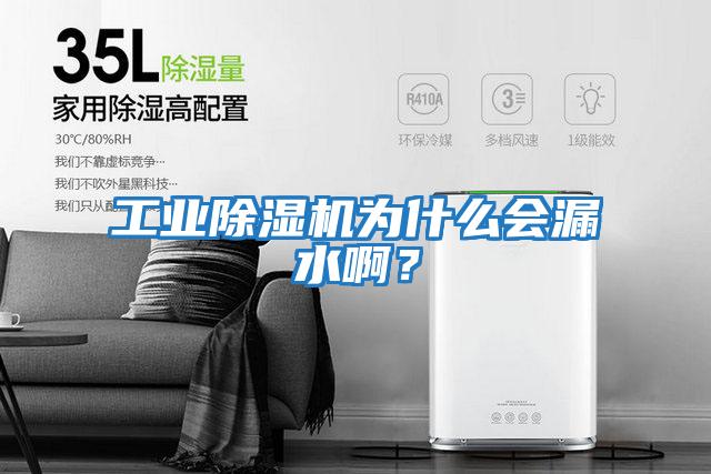 工業(yè)除濕機為什么會(huì )漏水??？