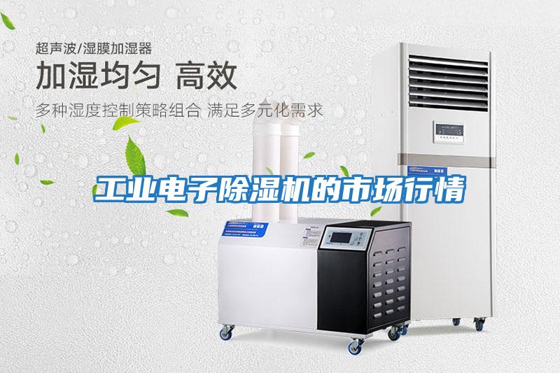 工業(yè)電子除濕機的市場(chǎng)行情