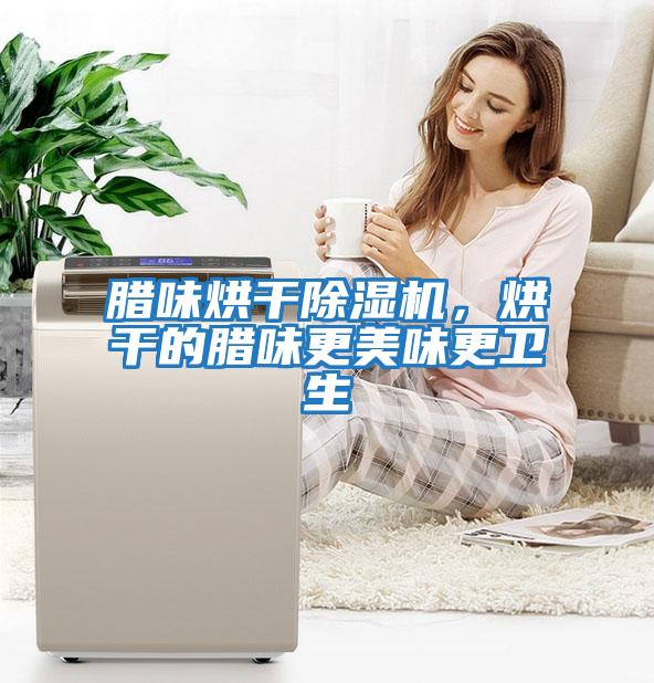 臘味烘干除濕機，烘干的臘味更美味更衛生